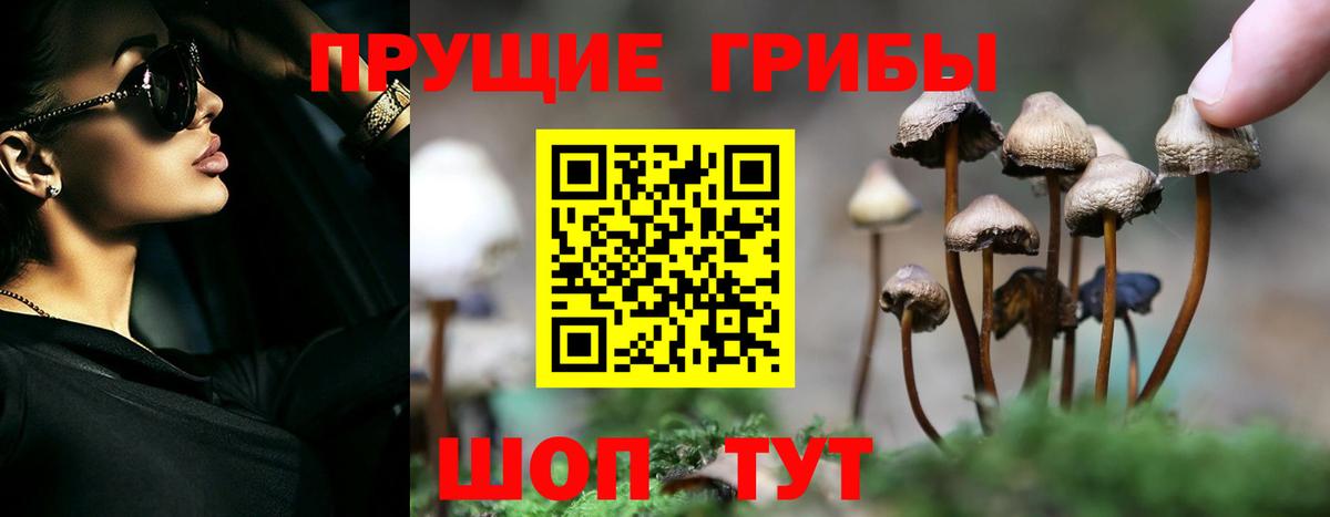 Псилоцибиновые грибы Psilocybine cubensis  Псилоцибиновые грибы мицелий  Ялуторовск  Вход с VPN 
